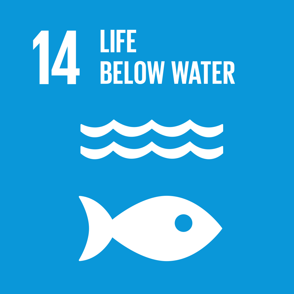 UN Sustainable Development Goal 14: Life Below Water